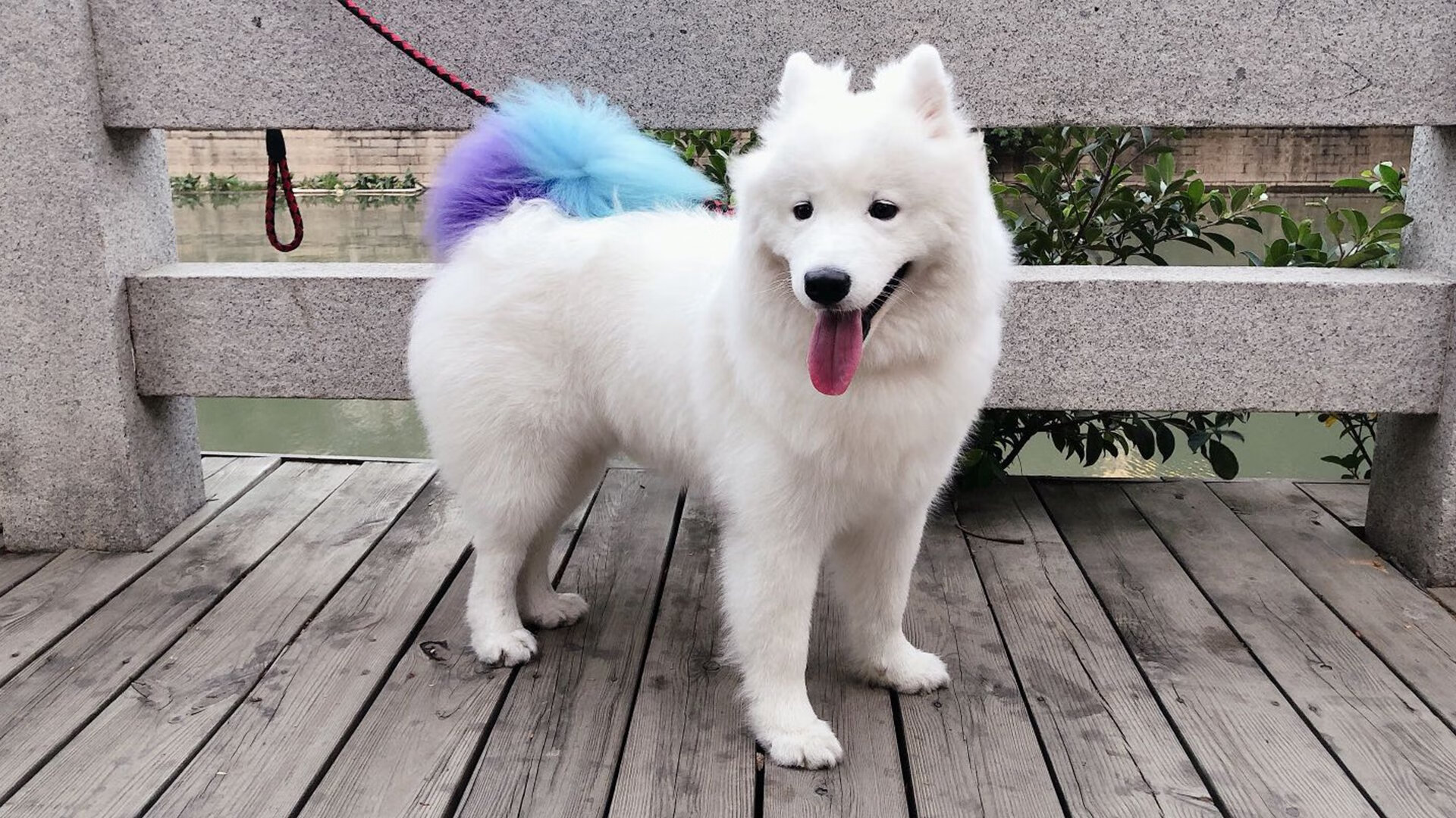 开云平台-皮克乱入NBA总决赛？足球巨星跨界逆转关键球引爆全球热议！