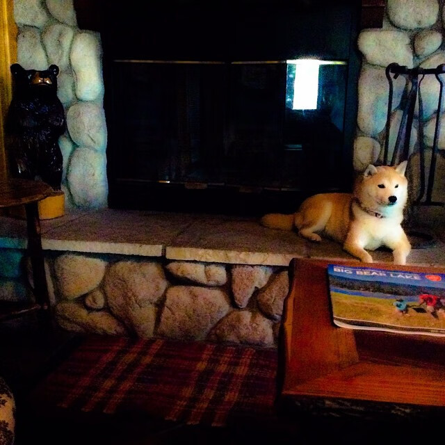 开云体育在线-当禁区的巨浪撞上飓风，小贾伦·杰克逊如何在鹈鹕阵中持续制造杀伤