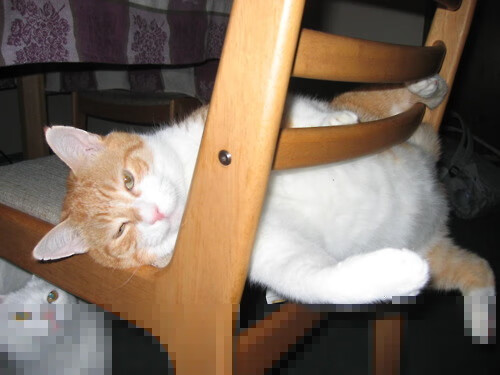 开云体育app-城市赛道上的篮球引擎对决，老鹰队弯道超车淘汰广厦，街头飙出季后赛新序章