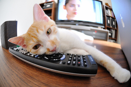 开云体育登录-篮网猛龙火爆对碰！字母哥暴力美学撕碎防线，持续杀伤诠释统治新维度